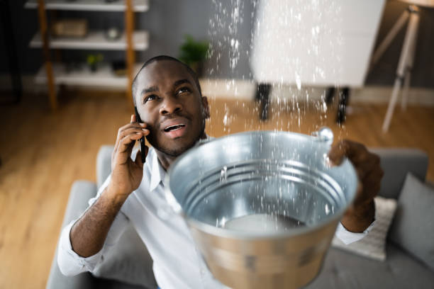 Best Ceiling water damage repair  in Delafield, WI