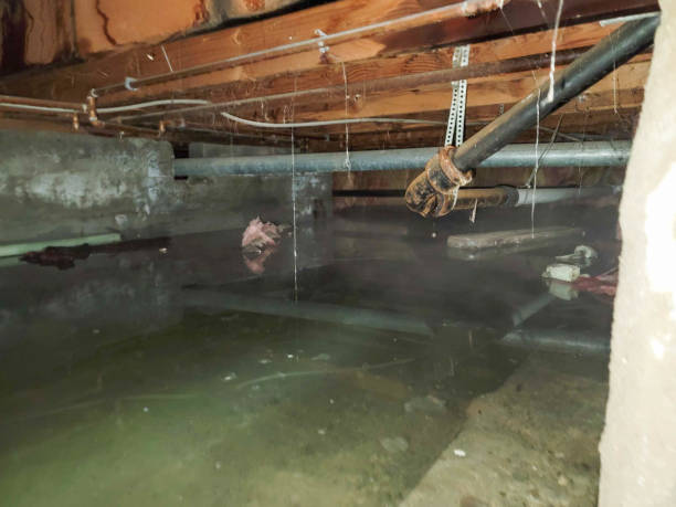 Best Water damage restoration mold remediation  in Delafield, WI