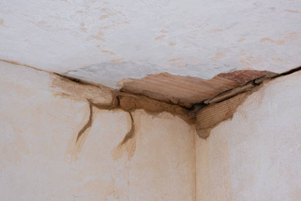 Best Local water damage restoration  in Delafield, WI
