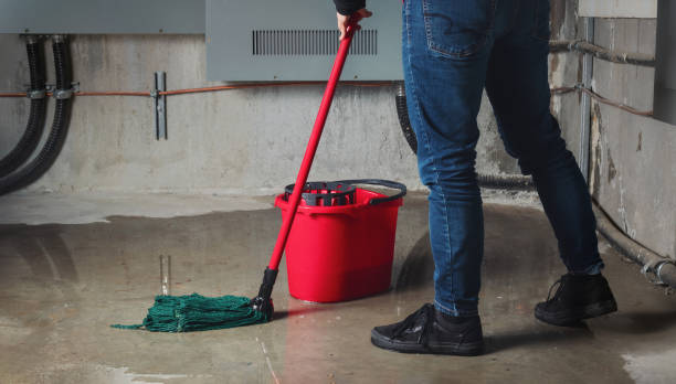 Best Water damage restoration near me  in Delafield, WI