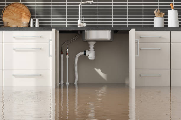 Best Emergency water damage restoration  in Delafield, WI