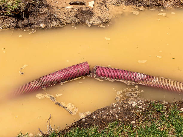 Best Water damage mitigation services  in Delafield, WI